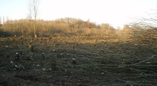 kemp-houtsnippers-milieuvriendelijk